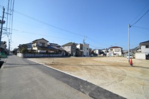 mDSC_7251