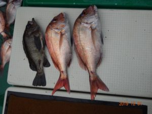 DSC01770