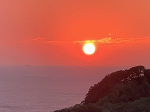 IMG_9139