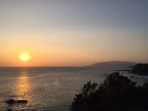 IMG_9181