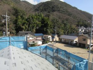 IMG_0639