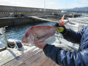 IMG_2150