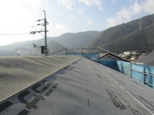 IMG_3064