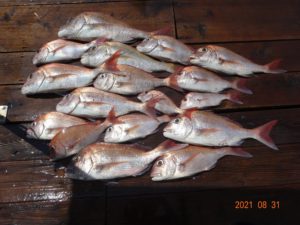 DSC02028